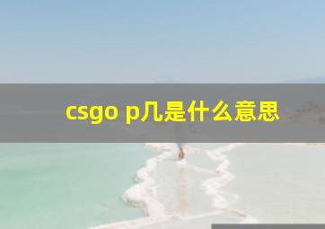 csgo p几是什么意思